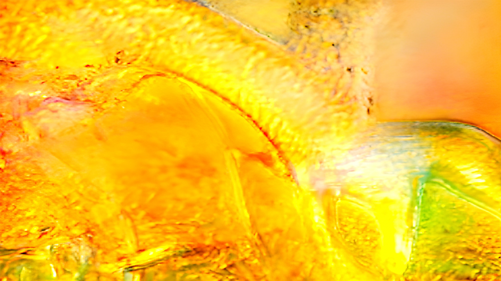 Frame of Retina, through the eyes of nature Frame