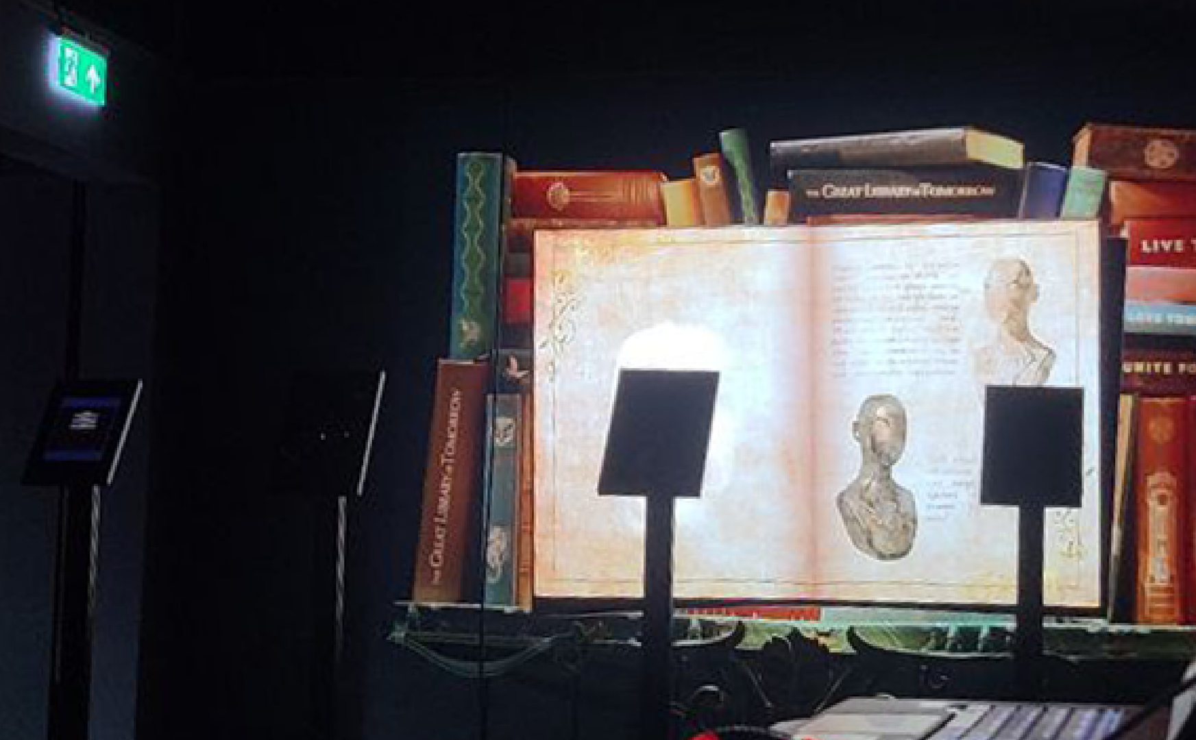 Portrait display with iPads stands